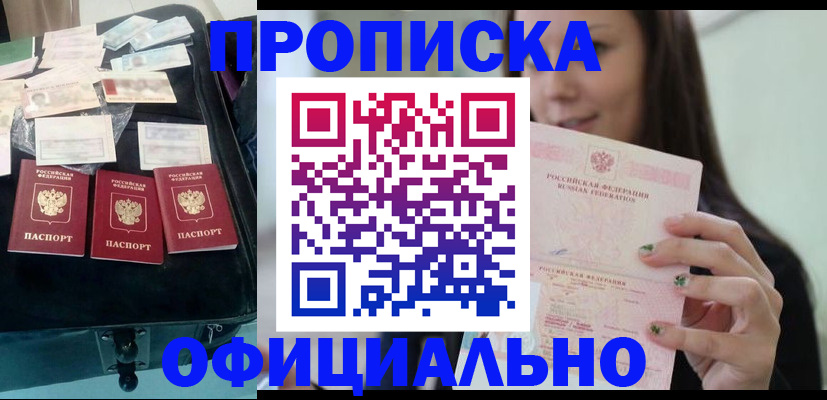 прописка законно в Бийске